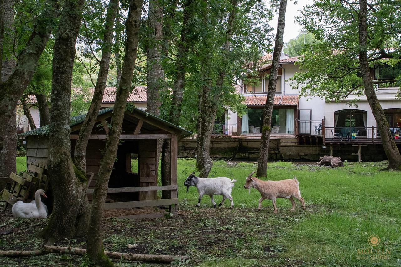 Moulin Du Val De Seugne Hotel Mosnac  ภายนอก รูปภาพ